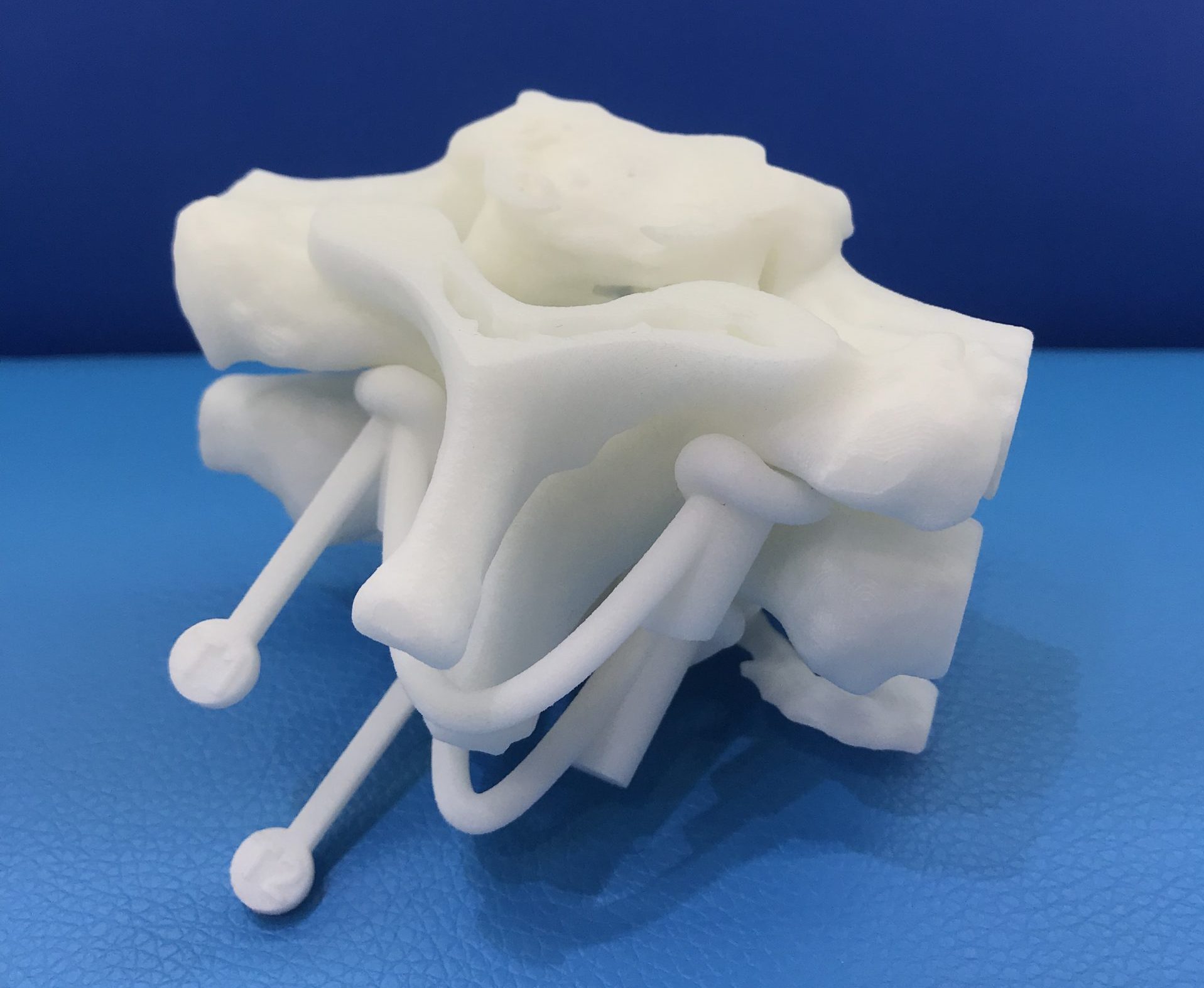 3D Printed Lateral Mass Screw Guide for Spinal Surgery with Nylon 12 Material